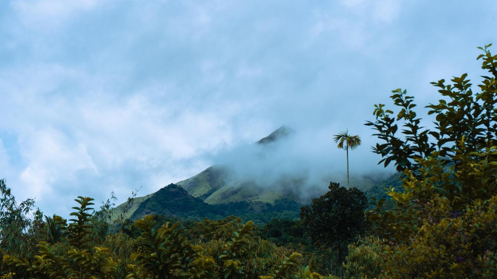 Vythiri Holiday Resort, Wayanad Kültér fotó