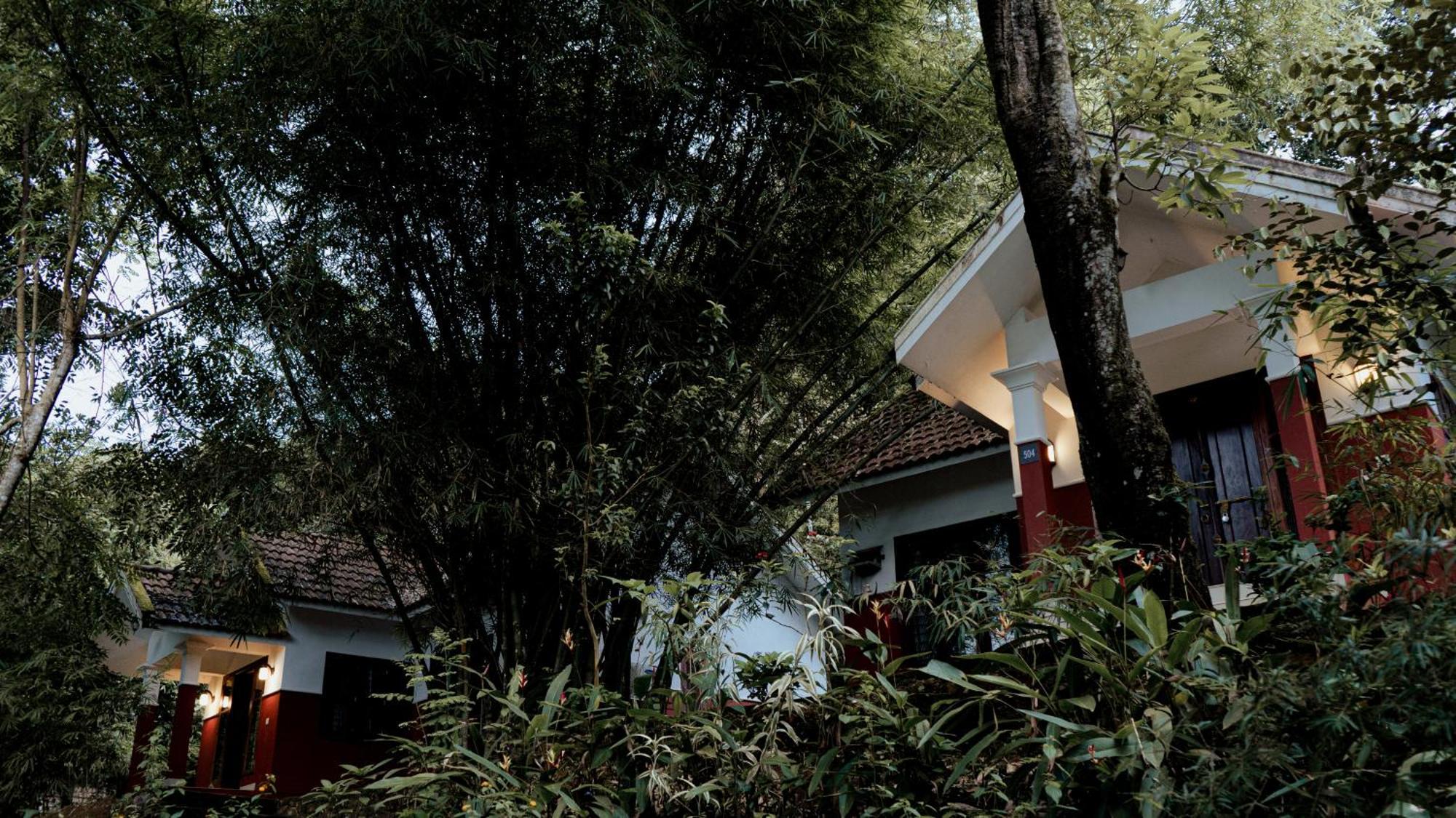 Vythiri Holiday Resort, Wayanad Kültér fotó